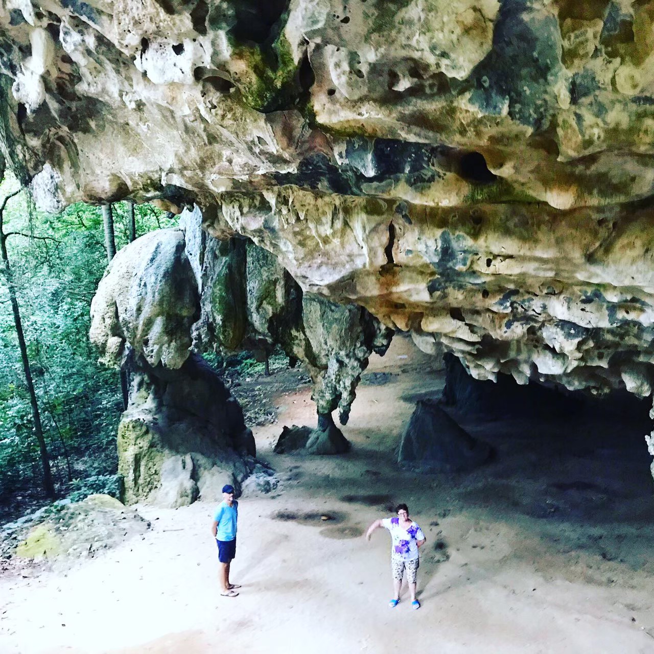 Логово дракона